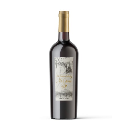 Vino biologico, organic wine